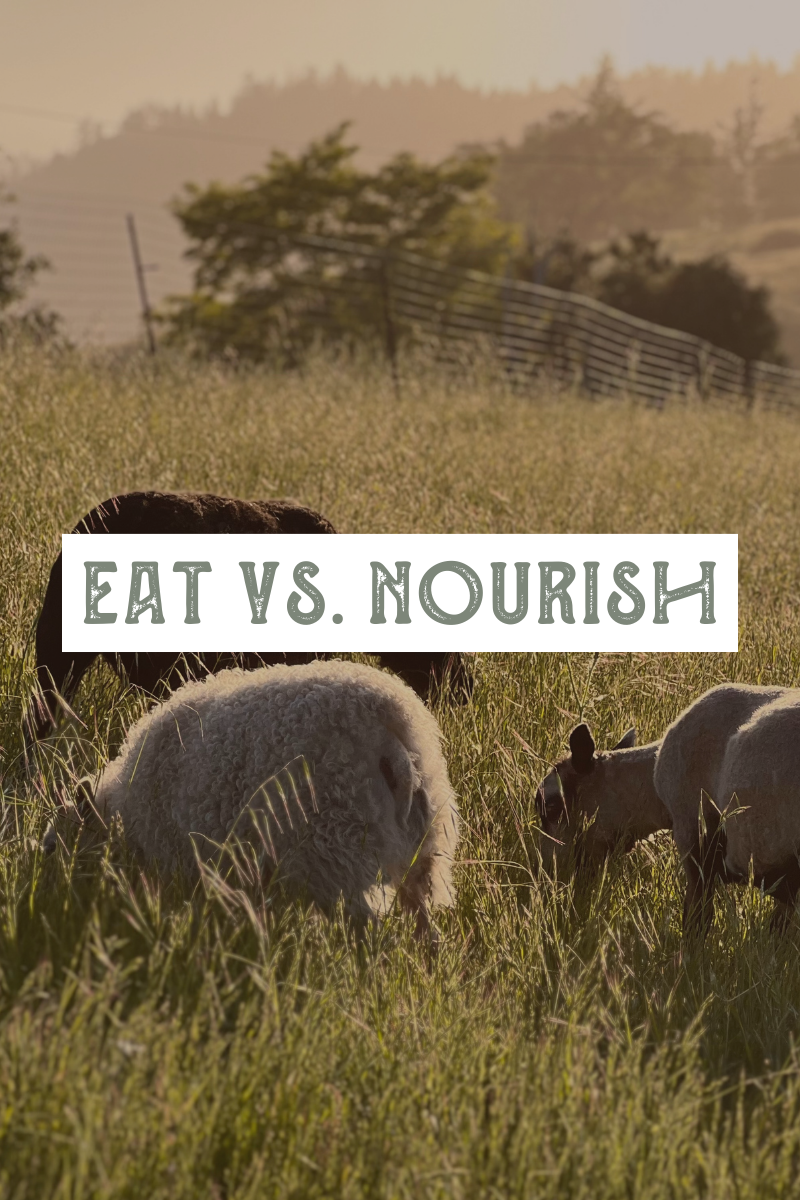 Eating vs. Nourishing: What I Learned