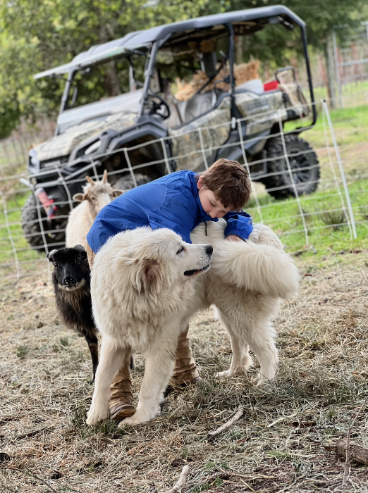 Second generation rancher with Livestock Guardian Dog in Sonoma County, California 