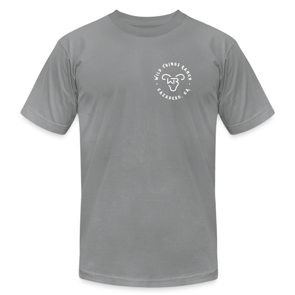 Unisex Jersey T-Shirt by Bella + Canvas - slate