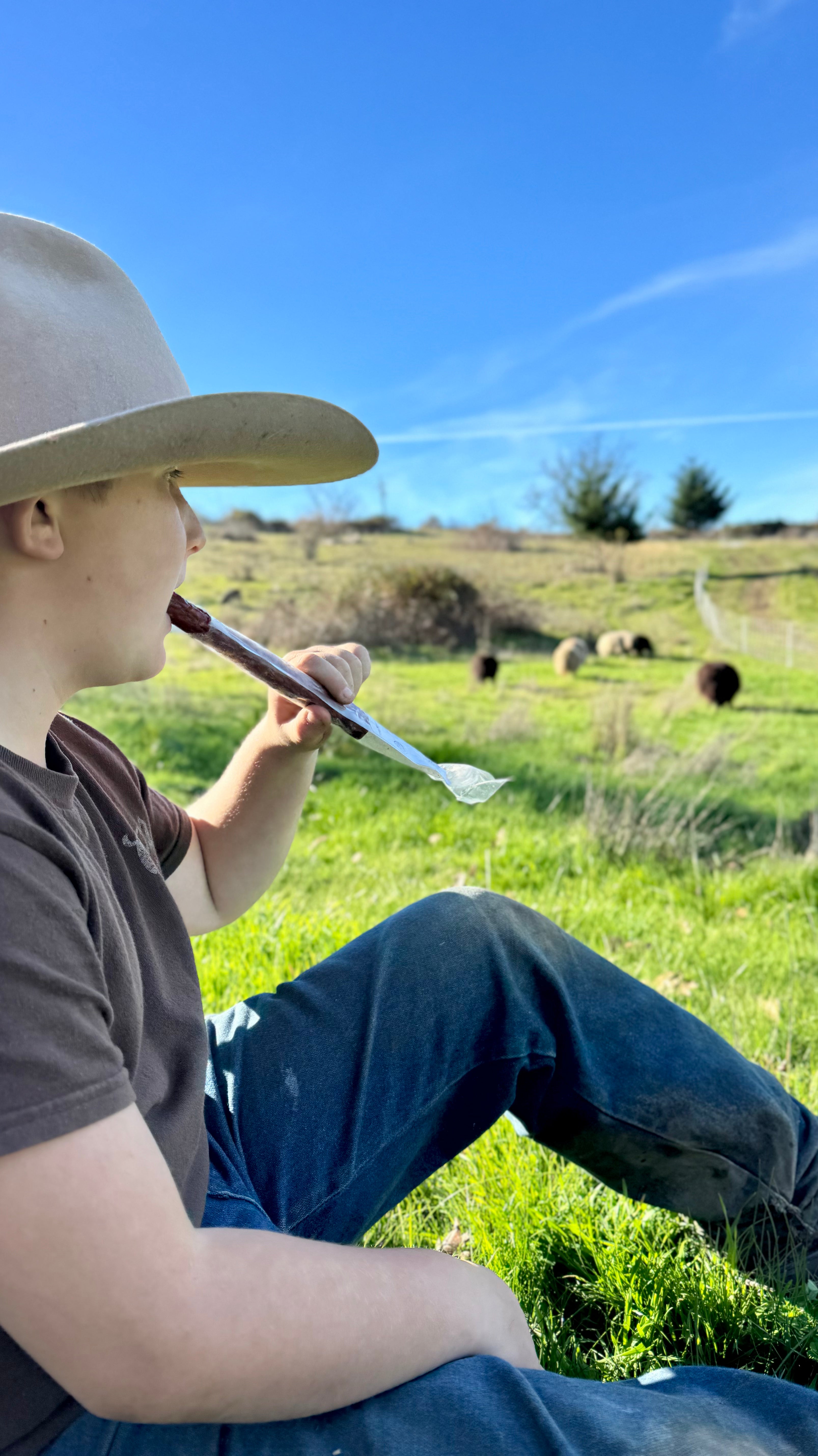 Lamb Snack Stick Packs